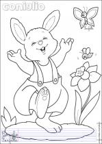 coloriage-lapin-3